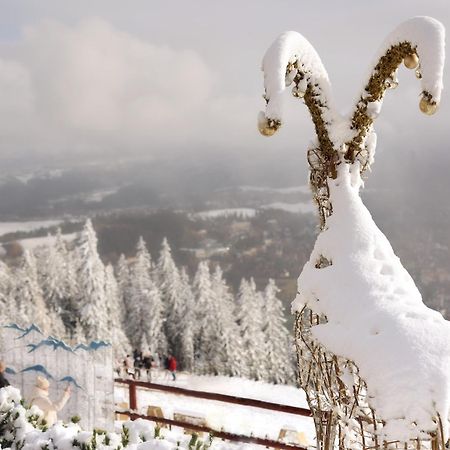 Willa Wygrodzisko Zakopane Bagian luar foto