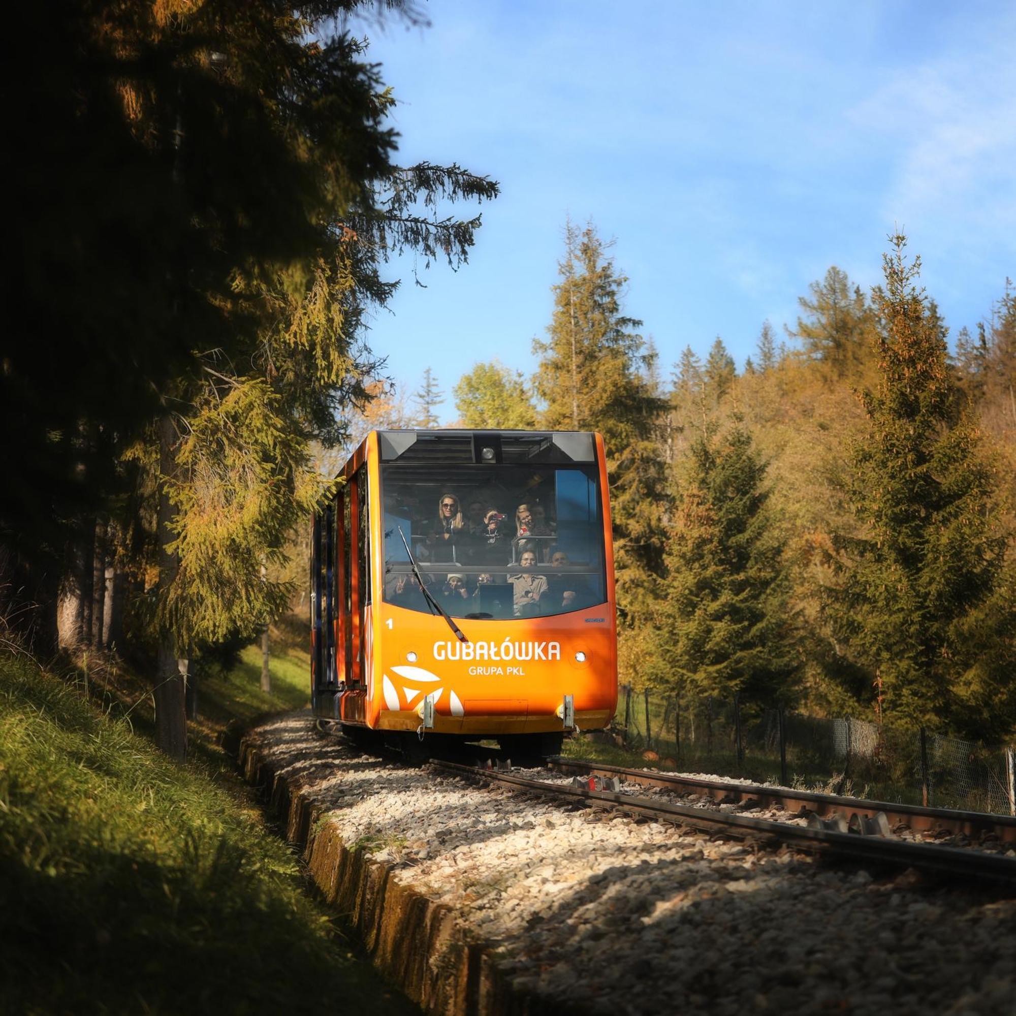 Willa Wygrodzisko Zakopane Bagian luar foto
