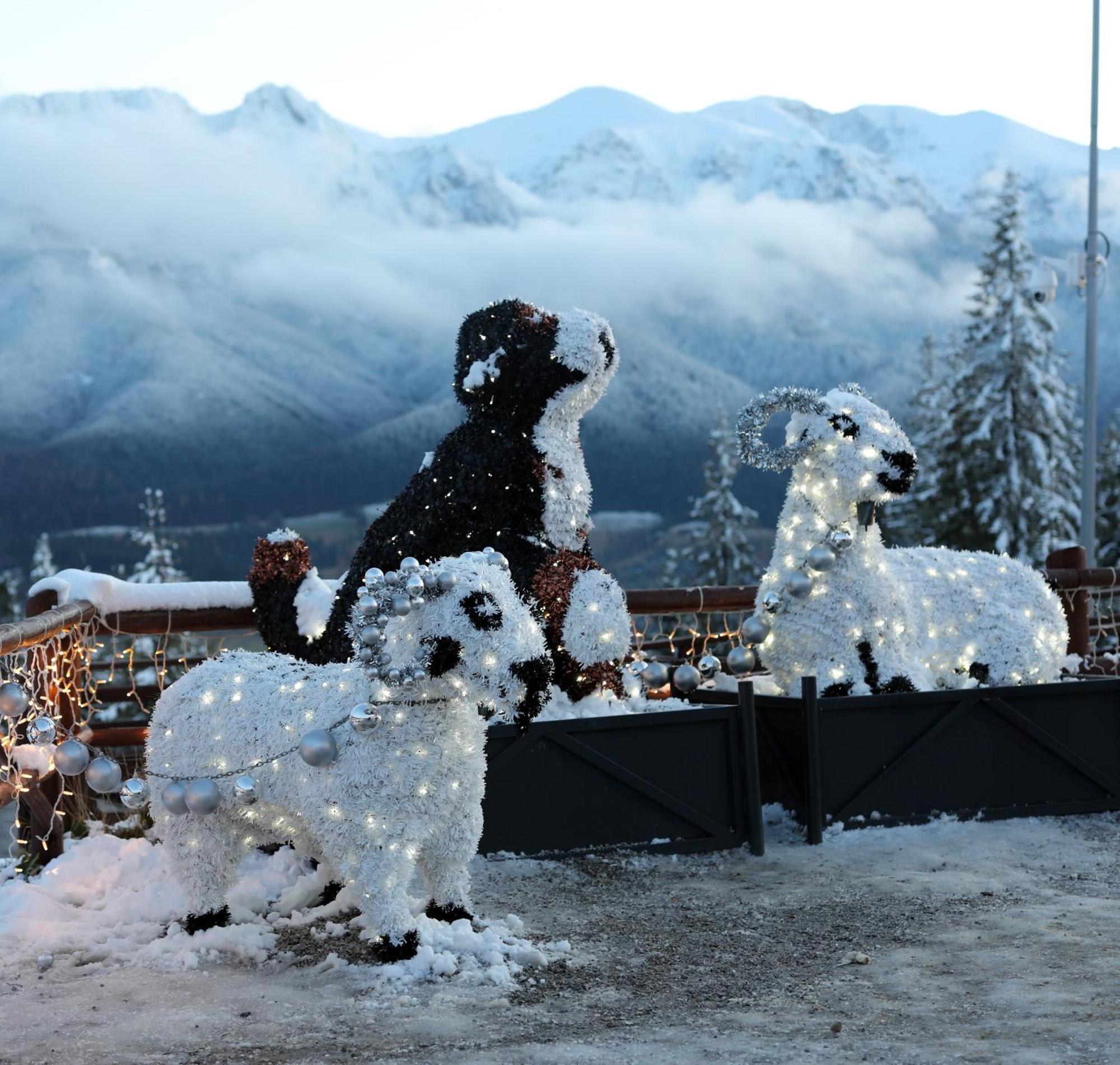 Willa Wygrodzisko Zakopane Bagian luar foto
