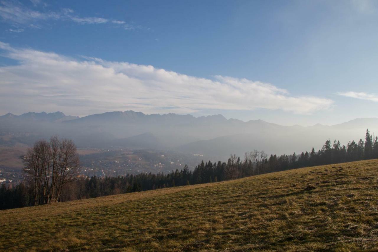 Willa Wygrodzisko Zakopane Bagian luar foto